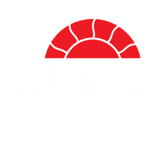 llumar ppf